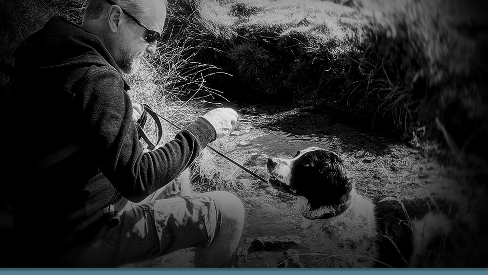 lifestreams video banner